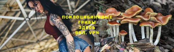 прущие крисы Алексин