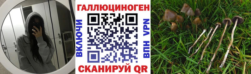 нарко площадка формула  Омутнинск  Псилоцибиновые грибы мухоморы 